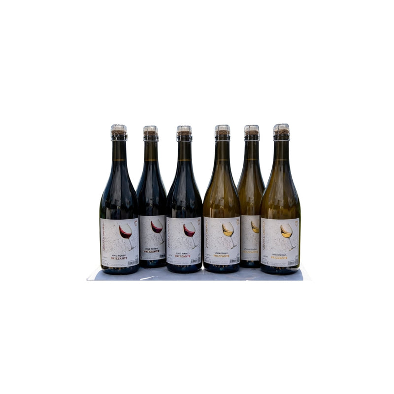 Bollicine
