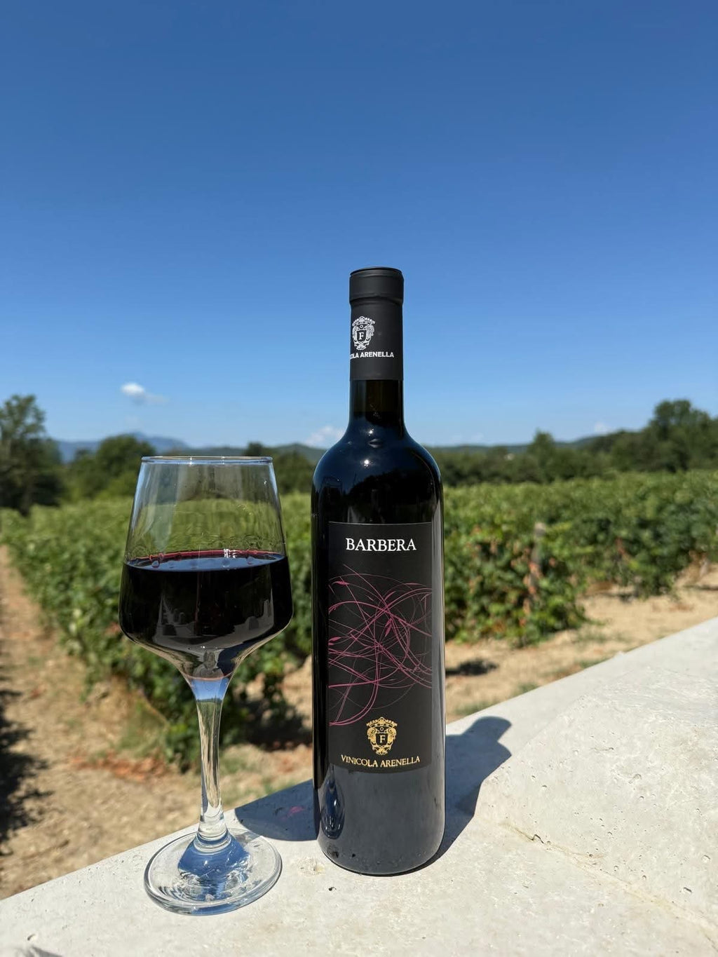 Barbera Beneventano IGP