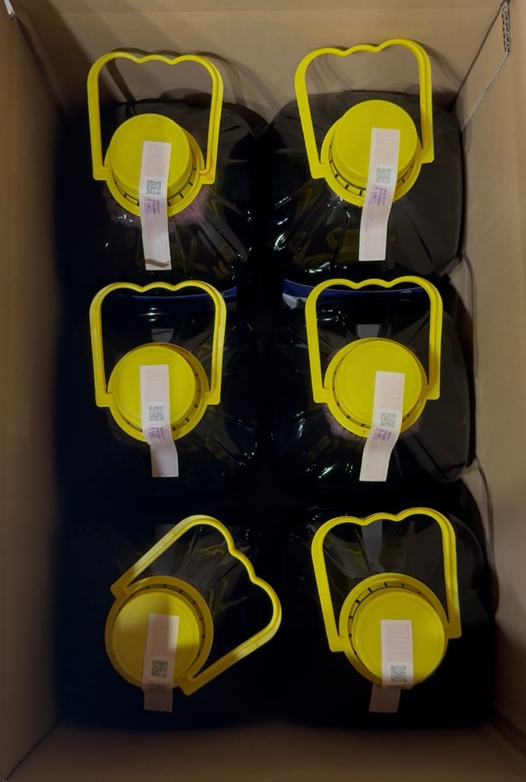 BOX 6 DAME DA 3L BENEVENTANO IGP BARBERA