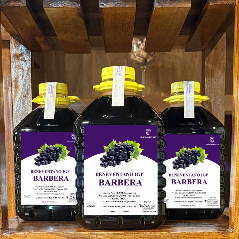 BOX 6 DAME DA 3L BENEVENTANO IGP BARBERA