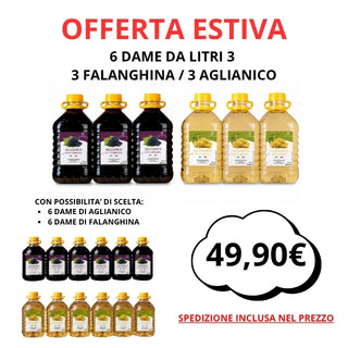 OFFERTA ESTIVA – 6 Dame da 3 Litri di Falanghina e Aglianico